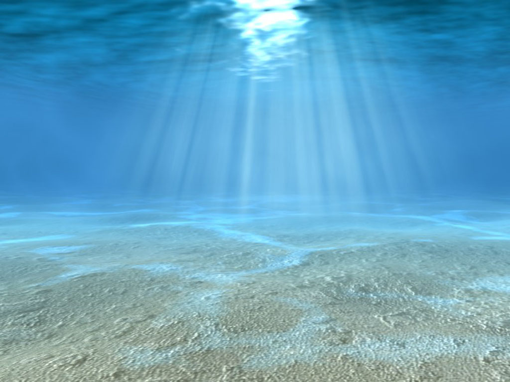 Unsplashed background img 2